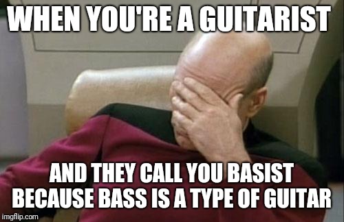 Captain Picard Facepalm Meme | WHEN YOU'RE A GUITARIST; AND THEY CALL YOU BASIST BECAUSE BASS IS A TYPE OF GUITAR | image tagged in memes,captain picard facepalm,guitar | made w/ Imgflip meme maker