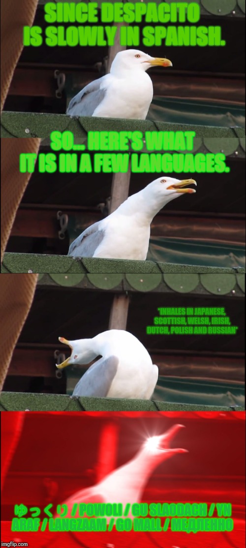 welcome-to-languages-with-your-host-inhaling-seagull-imgflip