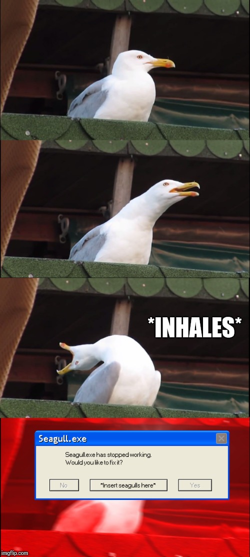Inhaling Seagull Meme | *INHALES* | image tagged in memes,inhaling seagull | made w/ Imgflip meme maker