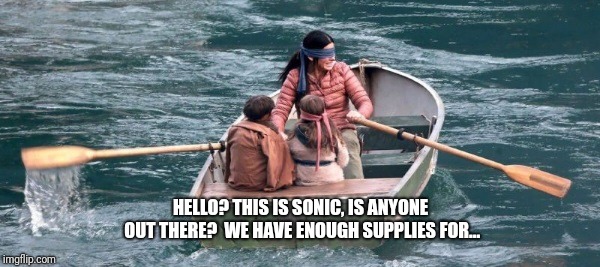 On the river | HELLO?
THIS IS SONIC, IS ANYONE OUT THERE? 
WE HAVE ENOUGH SUPPLIES FOR... | image tagged in bird | made w/ Imgflip meme maker