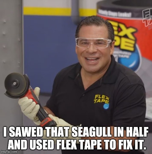 Phil Swift Flex Tape | I SAWED THAT SEAGULL IN HALF AND USED FLEX TAPE TO FIX IT. | image tagged in phil swift flex tape | made w/ Imgflip meme maker