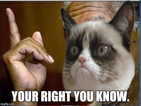 Grumpy Cat He's Right You Know | YOUR RIGHT YOU KNOW. | image tagged in grumpy cat he's right you know | made w/ Imgflip meme maker