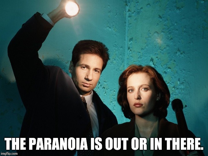 X files | THE PARANOIA IS OUT OR IN THERE. | image tagged in x files | made w/ Imgflip meme maker