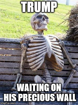 Waiting Skeleton | TRUMP; WAITING ON HIS PRECIOUS WALL | image tagged in memes,waiting skeleton | made w/ Imgflip meme maker