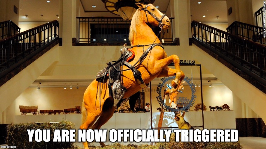 Triggered | YOU ARE NOW OFFICIALLY TRIGGERED | image tagged in horse,triggered | made w/ Imgflip meme maker