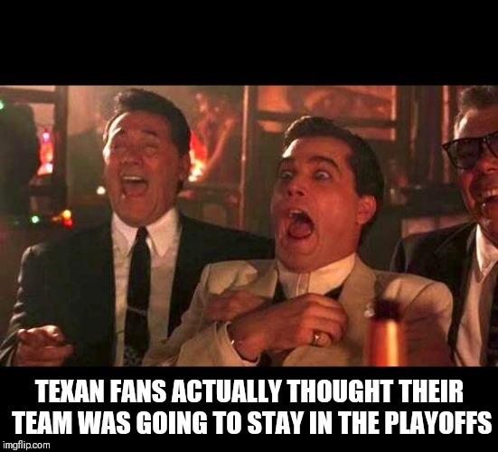 Cowboy fans actually thought their team was going to the superbo | TEXAN FANS ACTUALLY THOUGHT THEIR TEAM WAS GOING TO STAY IN THE PLAYOFFS | image tagged in cowboy fans actually thought their team was going to the superbo | made w/ Imgflip meme maker