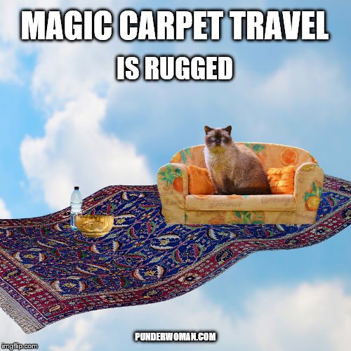 Magic Carpet Travel Fact | MAGIC CARPET TRAVEL; IS RUGGED; PUNDERWOMAN.COM | image tagged in travel,magic carpet,magic,cat,pun,transportation | made w/ Imgflip meme maker