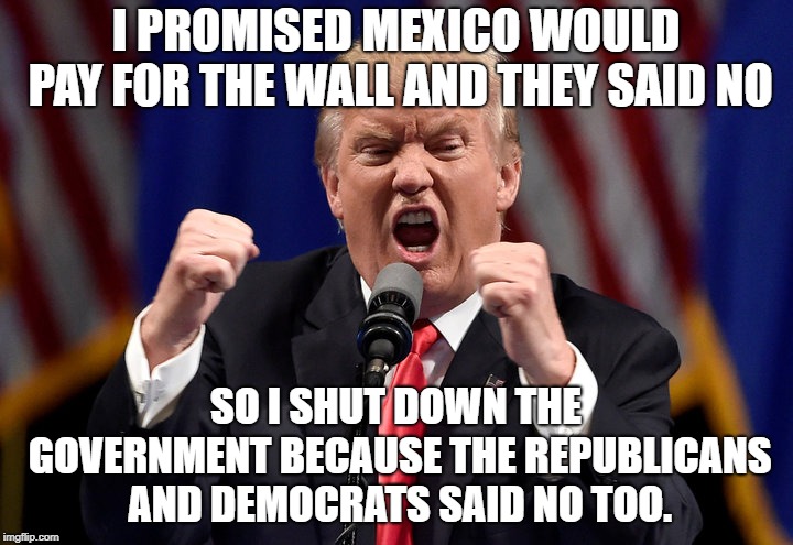 It's not my fault that I did this!  | I PROMISED MEXICO WOULD PAY FOR THE WALL AND THEY SAID NO; SO I SHUT DOWN THE GOVERNMENT BECAUSE THE REPUBLICANS AND DEMOCRATS SAID NO TOO. | image tagged in donald trump,build the wall,conservative hypocrisy | made w/ Imgflip meme maker