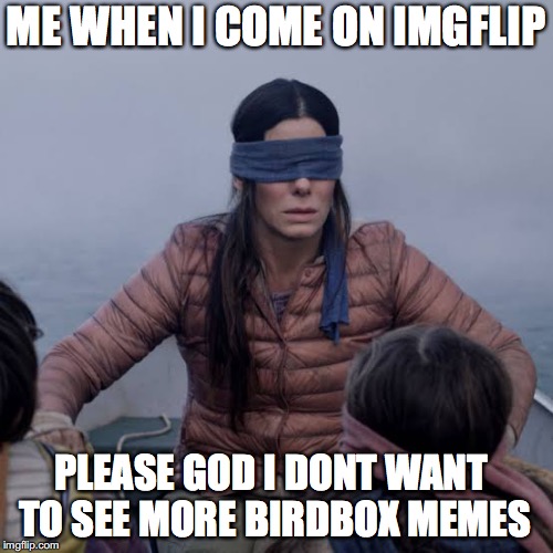 Bird Box | ME WHEN I COME ON IMGFLIP; PLEASE GOD I DONT WANT TO SEE MORE BIRDBOX MEMES | image tagged in birdbox,memes | made w/ Imgflip meme maker