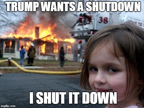 Disaster Girl | TRUMP WANTS A SHUTDOWN; I SHUT IT DOWN | image tagged in memes,disaster girl | made w/ Imgflip meme maker