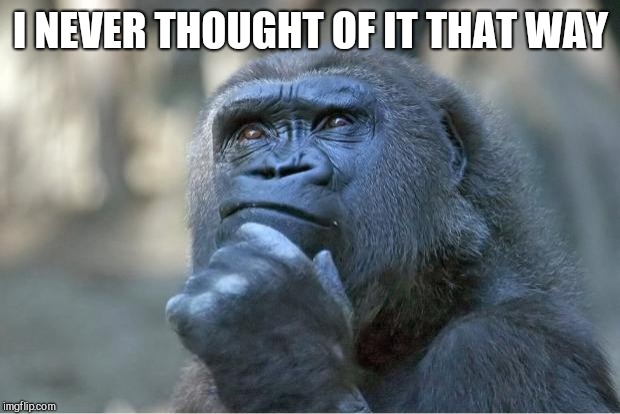 The thinking gorilla | I NEVER THOUGHT OF IT THAT WAY | image tagged in the thinking gorilla | made w/ Imgflip meme maker