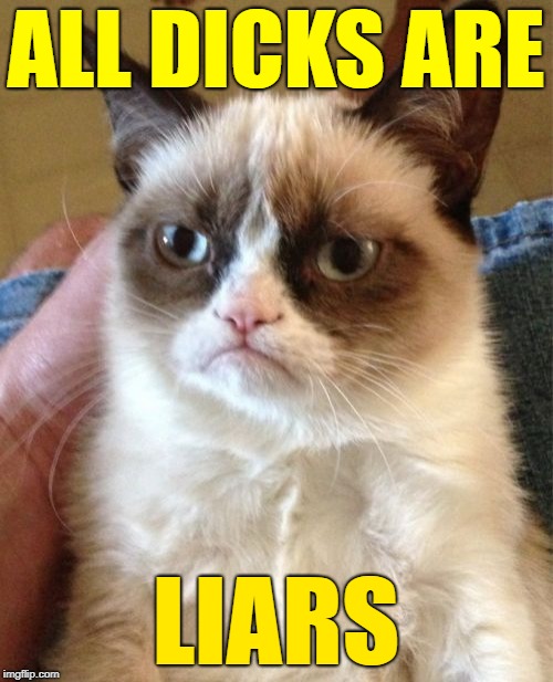 Grumpy Cat Meme | ALL DICKS ARE LIARS | image tagged in memes,grumpy cat | made w/ Imgflip meme maker