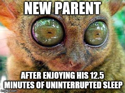 Props to those of you with small children, you rock! |  NEW PARENT; AFTER ENJOYING HIS 12.5 MINUTES OF UNINTERRUPTED SLEEP | image tagged in new parent,no sleep,sleep deprivation,lemur | made w/ Imgflip meme maker