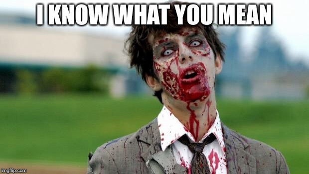 zombie | I KNOW WHAT YOU MEAN | image tagged in zombie | made w/ Imgflip meme maker