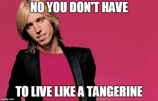 Tom petty | NO YOU DON'T HAVE; TO LIVE LIKE A TANGERINE | image tagged in tom petty | made w/ Imgflip meme maker
