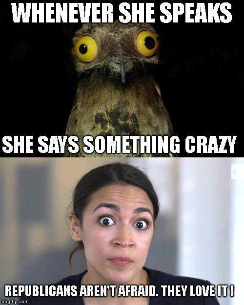 WHENEVER SHE SPEAKS SHE SAYS SOMETHING CRAZY REPUBLICANS AREN'T AFRAID. THEY LOVE IT ! | image tagged in memes,weird stuff i do potoo,ocassio ortiz | made w/ Imgflip meme maker