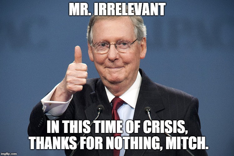 Mitch McConnell | MR. IRRELEVANT; IN THIS TIME OF CRISIS, THANKS FOR NOTHING, MITCH. | image tagged in mitch mcconnell | made w/ Imgflip meme maker