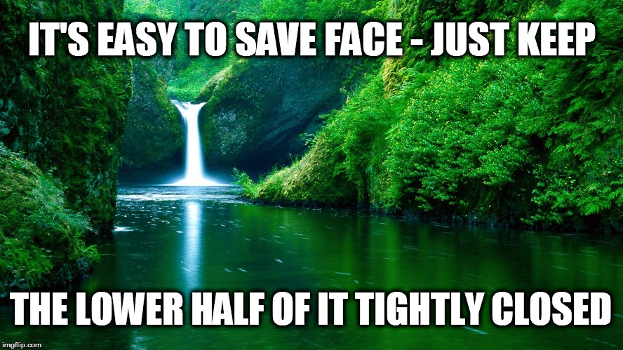 LIFE HACKS | IT'S EASY TO SAVE FACE - JUST KEEP; THE LOWER HALF OF IT TIGHTLY CLOSED | image tagged in funny | made w/ Imgflip meme maker