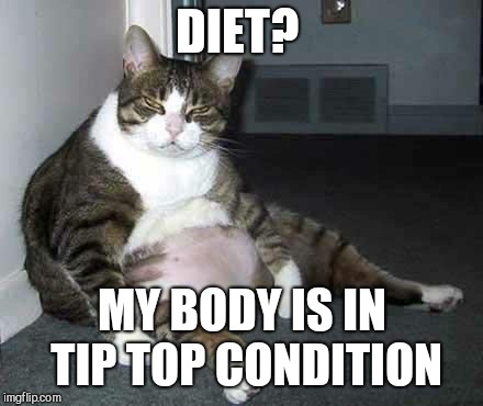 Fat cat | DIET? MY BODY IS IN TIP TOP CONDITION | image tagged in fat cat | made w/ Imgflip meme maker
