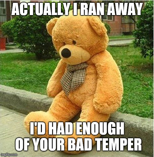 teddy bear | ACTUALLY I RAN AWAY I'D HAD ENOUGH OF YOUR BAD TEMPER | image tagged in teddy bear | made w/ Imgflip meme maker