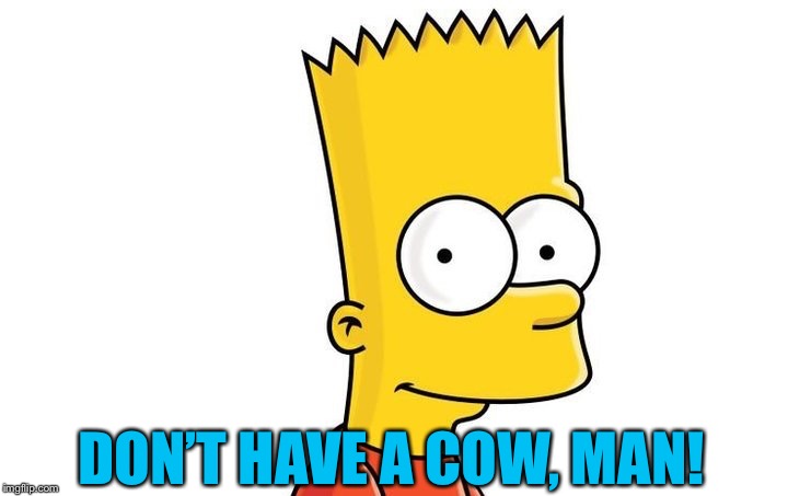 DON’T HAVE A COW, MAN! | made w/ Imgflip meme maker