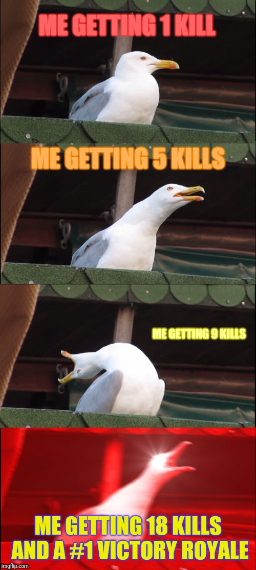 Inhaling Seagull Meme | ME GETTING 1 KILL; ME GETTING 5 KILLS; ME GETTING 9 KILLS; ME GETTING 18 KILLS AND A #1 VICTORY ROYALE | image tagged in memes,inhaling seagull | made w/ Imgflip meme maker