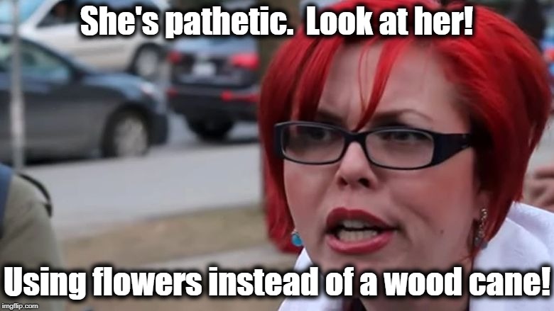  triggered | She's pathetic.  Look at her! Using flowers instead of a wood cane! | image tagged in triggered | made w/ Imgflip meme maker