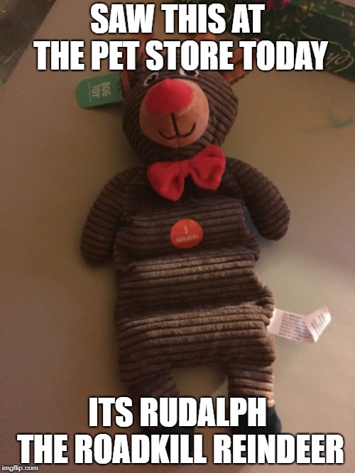 Rudalph the roadkill reindeer | SAW THIS AT THE PET STORE TODAY; ITS RUDALPH THE ROADKILL REINDEER | image tagged in funny | made w/ Imgflip meme maker