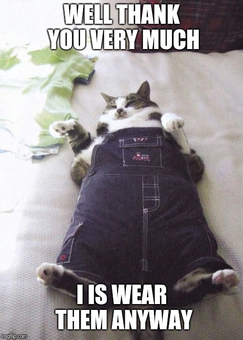 Fat Cat Meme | WELL THANK YOU VERY MUCH I IS WEAR THEM ANYWAY | image tagged in memes,fat cat | made w/ Imgflip meme maker