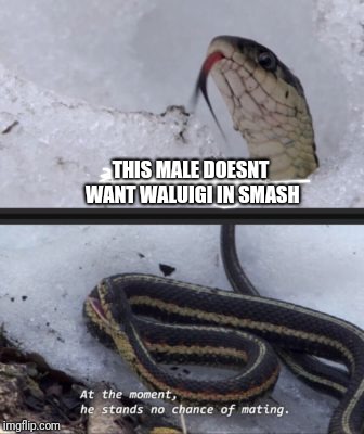 this snake has overslept | THIS MALE DOESNT WANT WALUIGI IN SMASH | image tagged in this snake has overslept | made w/ Imgflip meme maker