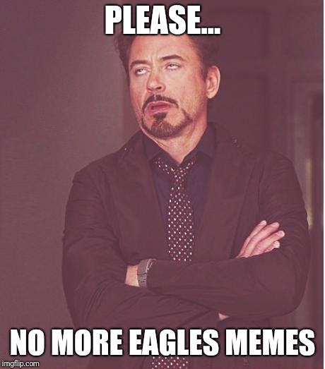 Face You Make Robert Downey Jr Meme | PLEASE... NO MORE EAGLES MEMES | image tagged in memes,face you make robert downey jr | made w/ Imgflip meme maker