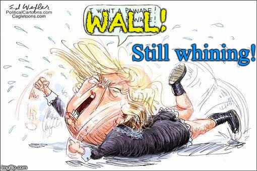 Trump wall - still whining! | WALL! Still whining! | image tagged in baby trump,trump tantrum,trump whining,trump sad,trump needs a pacifier,trump | made w/ Imgflip meme maker