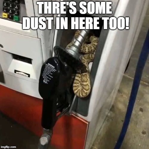 Snake In Gas Tank | THRE'S SOME DUST IN HERE TOO! | image tagged in snake in gas tank | made w/ Imgflip meme maker