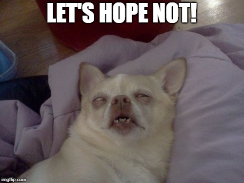 dog passed out sick  | LET'S HOPE NOT! | image tagged in dog passed out sick | made w/ Imgflip meme maker