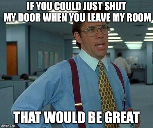 That Would Be Great | IF YOU COULD JUST SHUT MY DOOR WHEN YOU LEAVE MY ROOM; THAT WOULD BE GREAT | image tagged in memes,that would be great | made w/ Imgflip meme maker