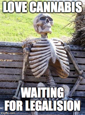 Waiting Skeleton | LOVE CANNABIS; WAITING FOR LEGALISION | image tagged in memes,waiting skeleton | made w/ Imgflip meme maker