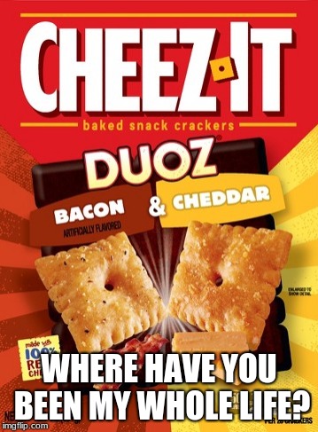 Seriously! Where were you!! | WHERE HAVE YOU BEEN MY WHOLE LIFE? | image tagged in memes,funny,cheez it | made w/ Imgflip meme maker