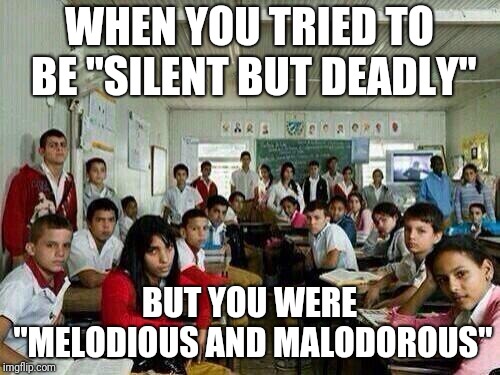 *tries looking behind me* *realizes I'm in the back row* |  WHEN YOU TRIED TO BE "SILENT BUT DEADLY"; BUT YOU WERE "MELODIOUS AND MALODOROUS" | image tagged in class looking at you,memes,fart jokes | made w/ Imgflip meme maker
