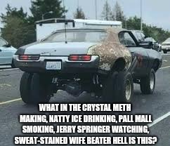 Seriously? | WHAT IN THE CRYSTAL METH MAKING, NATTY ICE DRINKING, PALL MALL SMOKING, JERRY SPRINGER WATCHING, SWEAT-STAINED WIFE BEATER HELL IS THIS? | image tagged in what,ugly muscle car | made w/ Imgflip meme maker