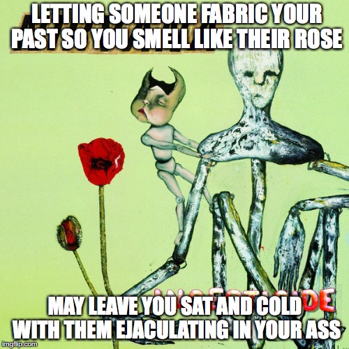 LETTING SOMEONE FABRIC YOUR PAST SO YOU SMELL LIKE THEIR ROSE; MAY LEAVE YOU SAT AND COLD WITH THEM EJACULATING IN YOUR ASS | image tagged in haters | made w/ Imgflip meme maker