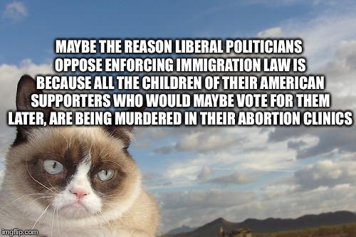 Grumpy Cat Sky | MAYBE THE REASON LIBERAL POLITICIANS OPPOSE ENFORCING IMMIGRATION LAW IS BECAUSE ALL THE CHILDREN OF THEIR AMERICAN SUPPORTERS WHO WOULD MAYBE VOTE FOR THEM LATER, ARE BEING MURDERED IN THEIR ABORTION CLINICS | image tagged in memes,grumpy cat sky,grumpy cat | made w/ Imgflip meme maker