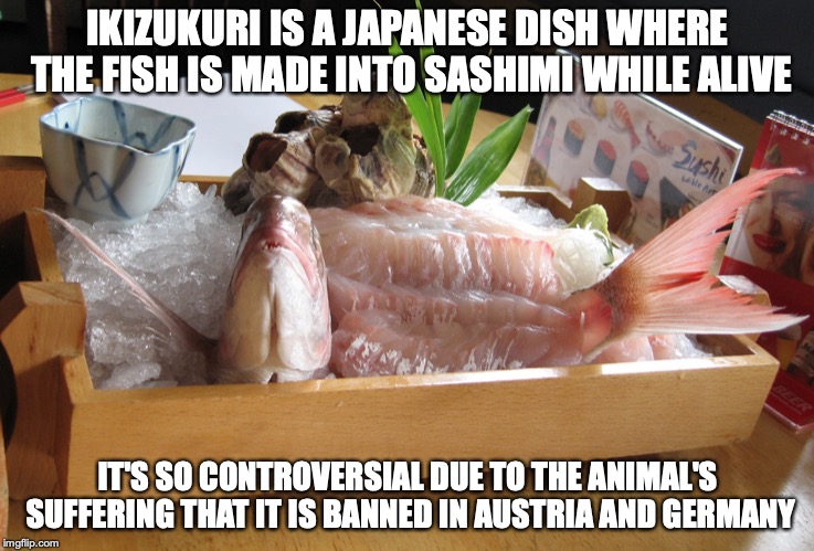 Ikizukuri | IKIZUKURI IS A JAPANESE DISH WHERE THE FISH IS MADE INTO SASHIMI WHILE ALIVE; IT'S SO CONTROVERSIAL DUE TO THE ANIMAL'S SUFFERING THAT IT IS BANNED IN AUSTRIA AND GERMANY | image tagged in ikizukuri,memes,food,japan | made w/ Imgflip meme maker