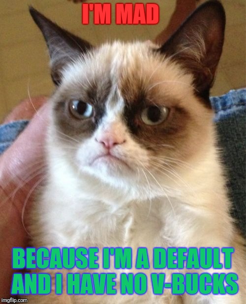 Sad default Cat | I'M MAD; BECAUSE I'M A DEFAULT AND I HAVE NO V-BUCKS | image tagged in memes,grumpy cat,no v-bucks,default,mad,cat | made w/ Imgflip meme maker