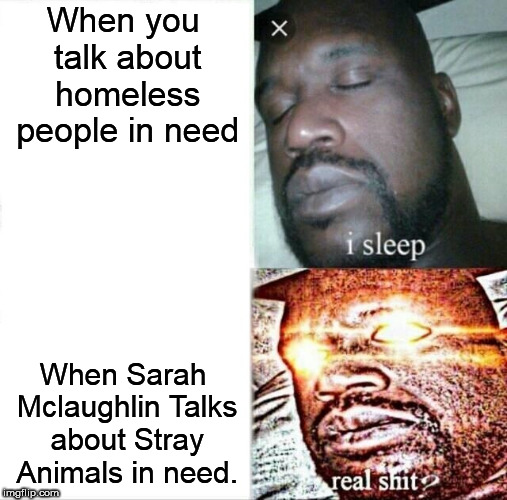 Sleeping Shaq Meme | When you talk about homeless people in need; When Sarah Mclaughlin Talks about Stray Animals in need. | image tagged in memes,sleeping shaq | made w/ Imgflip meme maker