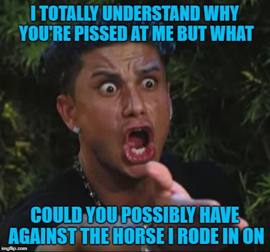 Horses are always gettin' a bad rap! |  I TOTALLY UNDERSTAND WHY YOU'RE PISSED AT ME BUT WHAT; COULD YOU POSSIBLY HAVE AGAINST THE HORSE I RODE IN ON | image tagged in memes,dj pauly d,pissed off,funny,and the horse you rode in on,horses | made w/ Imgflip meme maker