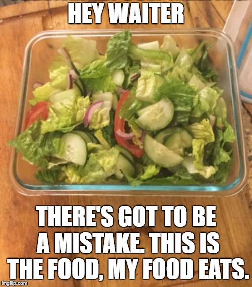 When they bring the salad first, I sit there thinking. | HEY WAITER; THERE'S GOT TO BE A MISTAKE. THIS IS THE FOOD, MY FOOD EATS. | image tagged in food,salad,random,cooking,rabbit,chef | made w/ Imgflip meme maker