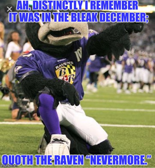 Back to Baltimore Ladies  | AH, DISTINCTLY I REMEMBER IT WAS IN THE BLEAK DECEMBER;; QUOTH THE RAVEN “NEVERMORE.” | image tagged in baltimore ravens | made w/ Imgflip meme maker