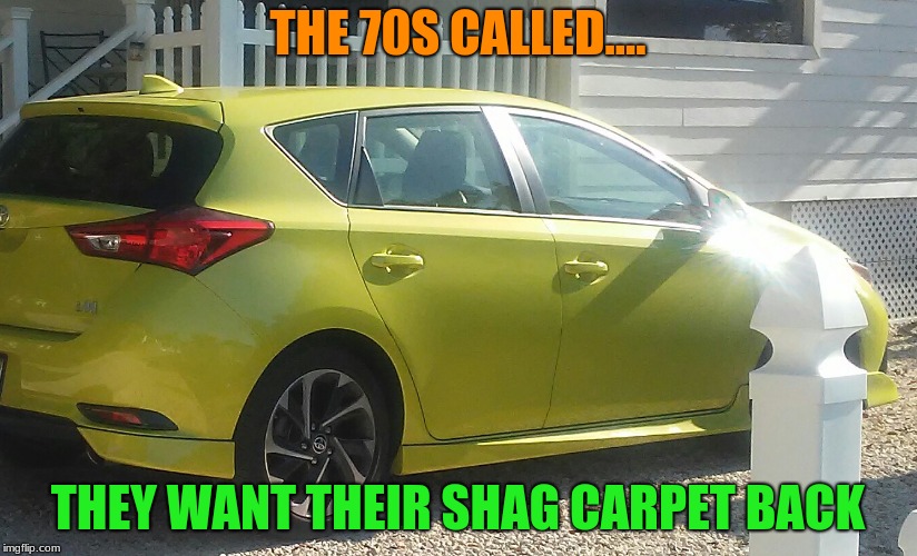 the 70s called | THE 70S CALLED.... THEY WANT THEIR SHAG CARPET BACK | image tagged in the 70s called | made w/ Imgflip meme maker