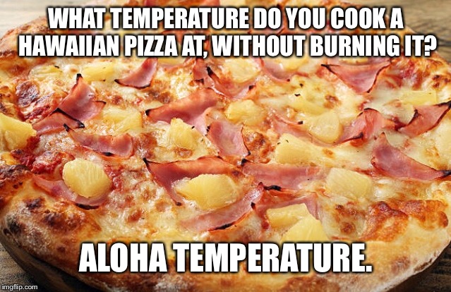 Pizza | WHAT TEMPERATURE DO YOU COOK A HAWAIIAN PIZZA AT, WITHOUT BURNING IT? ALOHA TEMPERATURE. | image tagged in pizza,hawaii,food,best meme | made w/ Imgflip meme maker