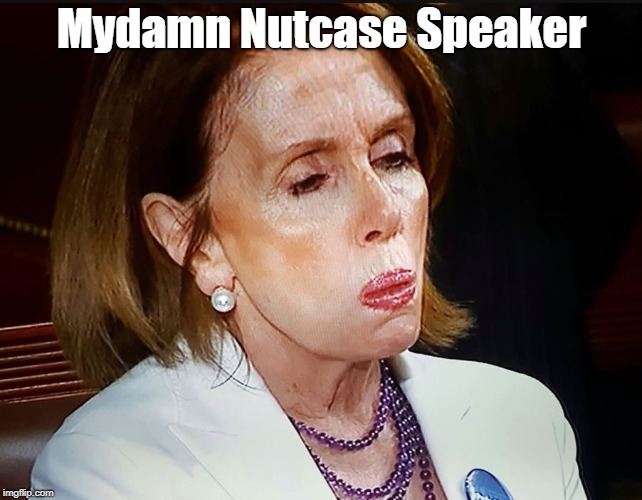 Nancy Pelosi PB Sandwich | Mydamn Nutcase Speaker | image tagged in nancy pelosi pb sandwich | made w/ Imgflip meme maker